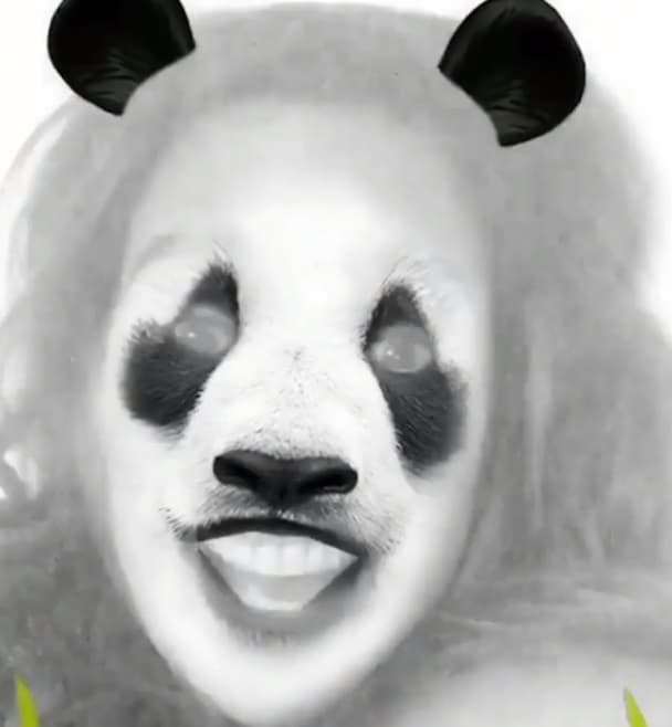 O quizá un oso panda... No importa, como sea ella se divierte.