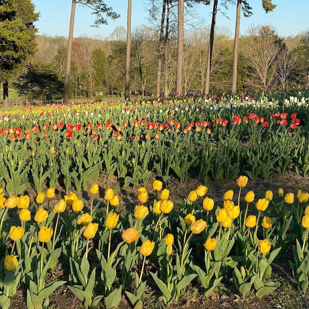 La entrada cuesta $ 5.00 para adultos y $ 3.00 para niños mayores de 2 años.