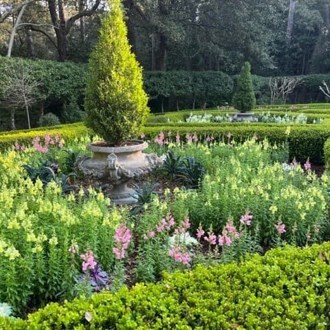 <b>Elizabethan Gardens (Manteo):</b>
<br>
<b>Sitio web</b>:
<a href="https://www.elizabethangardens.org/">https://www.elizabethangardens.org/</a>
<br>
<b><a href="https://maps.app.goo.gl/BwNYWiWtANRCbRdT9">Cómo llegar</a> </b>
<br>
<br>Los cambios de estación traen una variedad de plantas, arbustos y árboles con flores que atraen a los visitantes a regresar una y otra vez. Una monumental escultura de bronce de la reina Isabel I, antiguas estatuas italianas de mármol y la figura solitaria de Virginia Dare dan continuidad a una flora en constante cambio. Las colecciones hortícolas y el color anual plantado cada temporada le dan a The Gardens una perspectiva diferente durante todo el año.