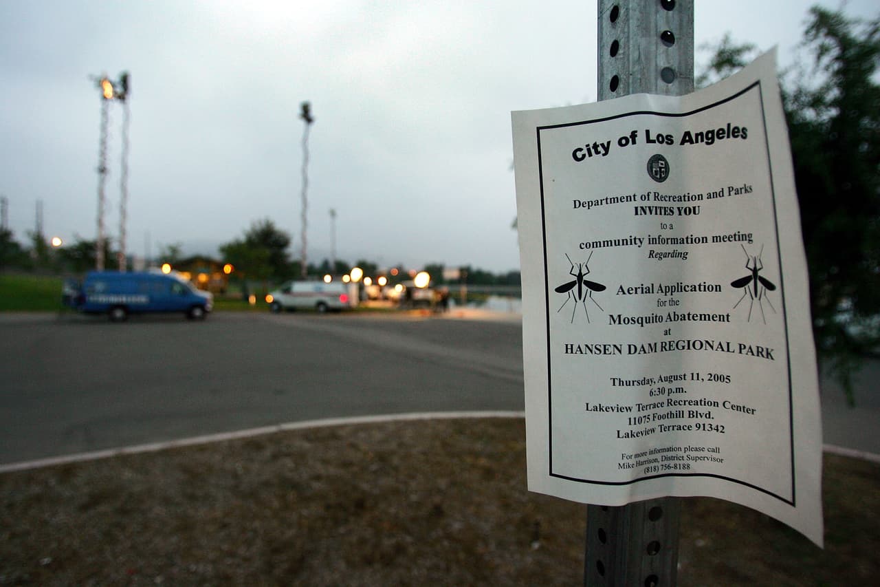 La picadura de un mosquito que podría paralizar, dejar en coma y llevar a la muerte