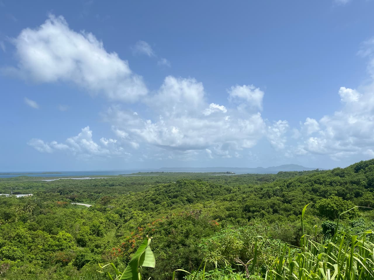 Parte de los terrenos disponibles para desarrollo en Roosevelt Roads. A lo lejos se ve la isla de Vieques.