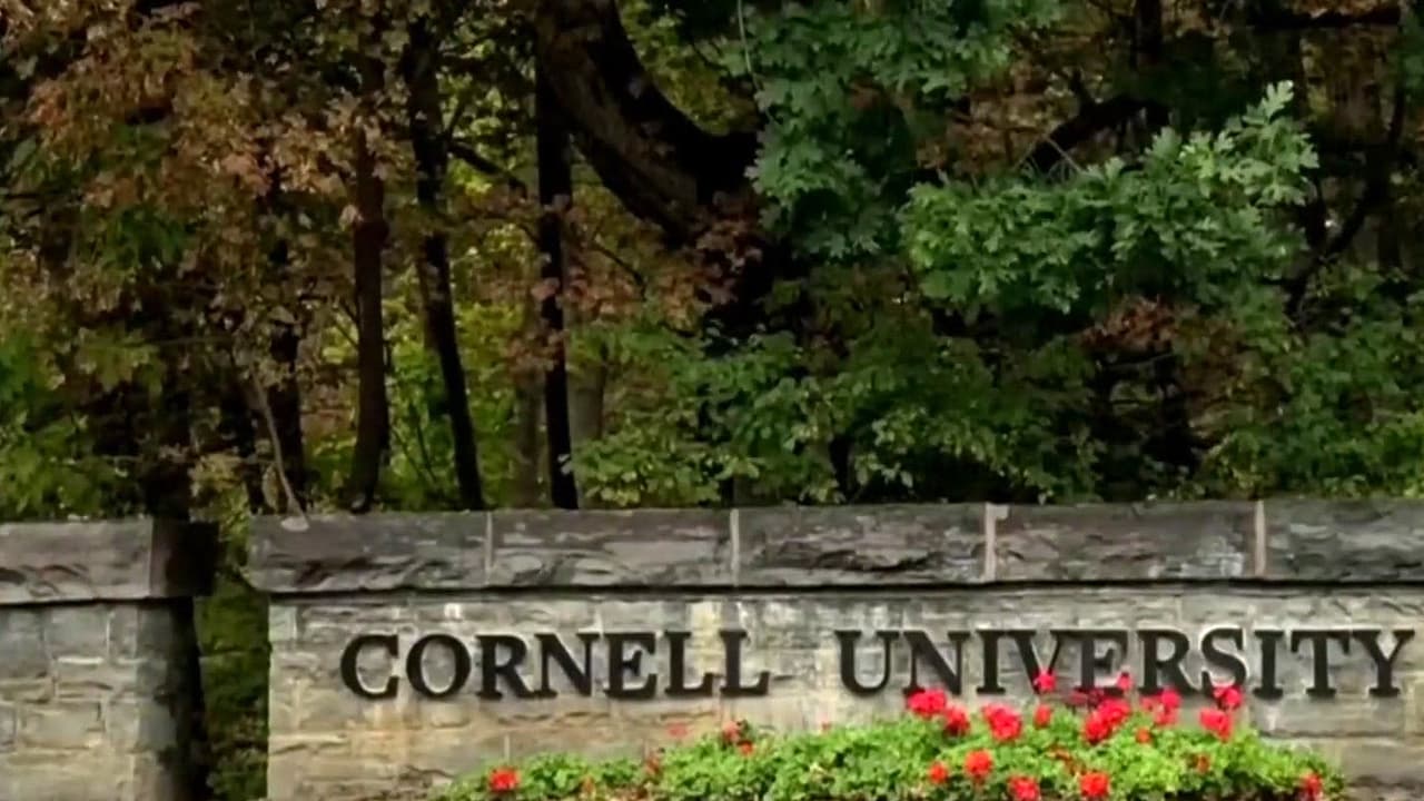 El caso Cornell 7 desata indignación en redes y activa portales de vigilancia civil