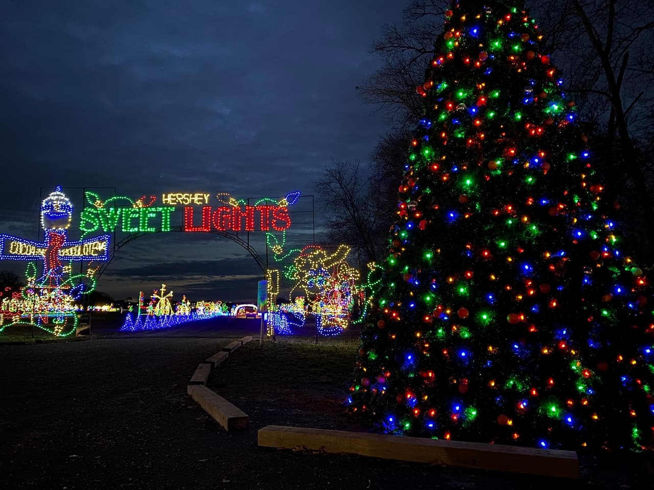 <b><a href="https://www.hersheypark.com/explore-the-park/christmas.php" target="_blank">Hershey Sweet Lights</a></b>: Experimenta NOEL en Hersheypark, un impresionante espectáculo de luces con más de 250,000 luces danzantes sincronizadas con su música navideña. Los espectáculos nocturnos tienen lugar todas las noches en The HollowSM en Hershey Park. Para una experiencia más cálida, quédate en el automóvil mientras conduces por Hershey Sweet Lights. El camino de conducción arbolado de dos millas proporciona un viaje centelleante donde los visitantes pueden ver más de 600 pantallas animadas.