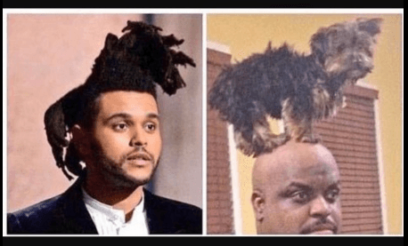 The Weeknd es imposible no hacer memes de su peinado.
