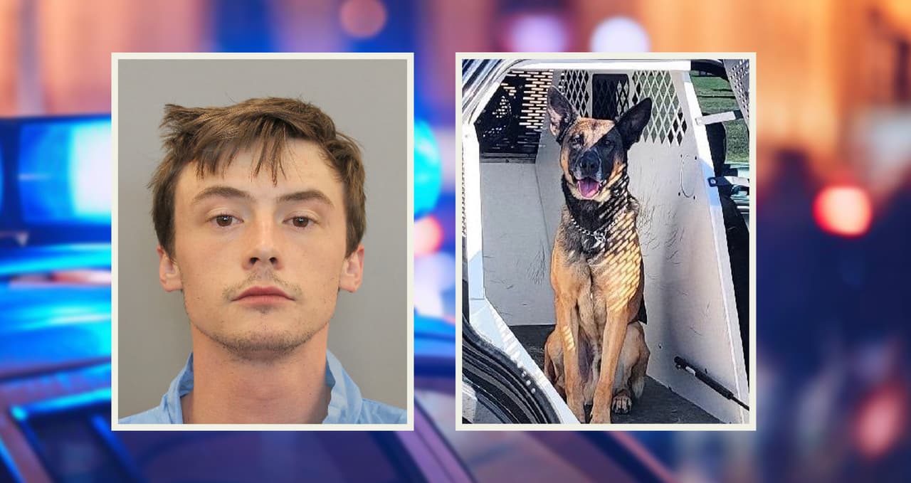 Sospechoso de apuñalar a un perro policía podría estar involucrado en la muerte de su padre, afirman autoridades