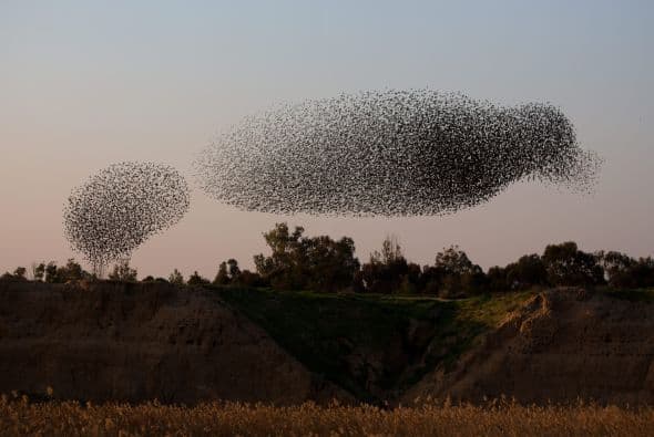 Un espectáculo digno de ser admirado.