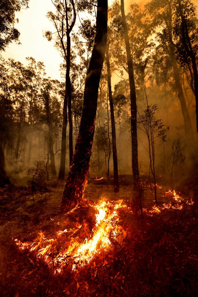 El costo de los daños, según el Consejo de Aseguradoras de Australia, supera los 485 millones de dólares.