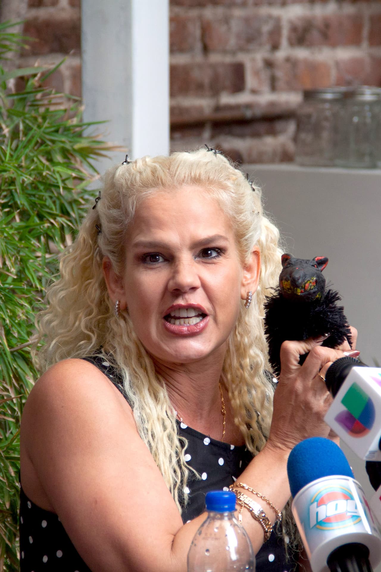 Ante las fuertes declaraciones de Levy, Niurka Marcos salió en defensa de su expareja y padre de su hijo y arremetió en contra del cubano, pero terminó afectando a Carla Estrada.