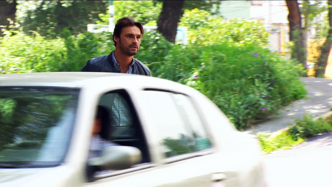 ¡No! Quieren atropellarlo.