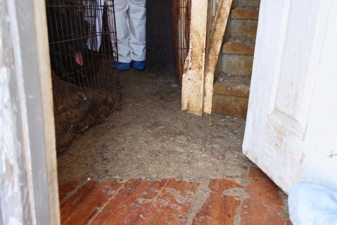 Desde la entrada de la casa, oficiales notaron que la casa se encontraba en condiciones deplorables, ya que el piso estaba cubierto por una capa de heces de al menos un pie de altura.