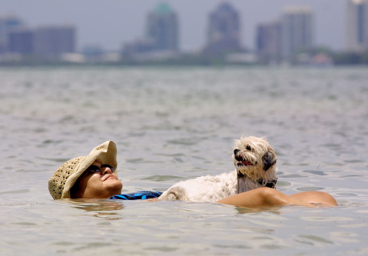 Mucho calor es el pronóstico del tiempo en el sur de Florida para este domingo