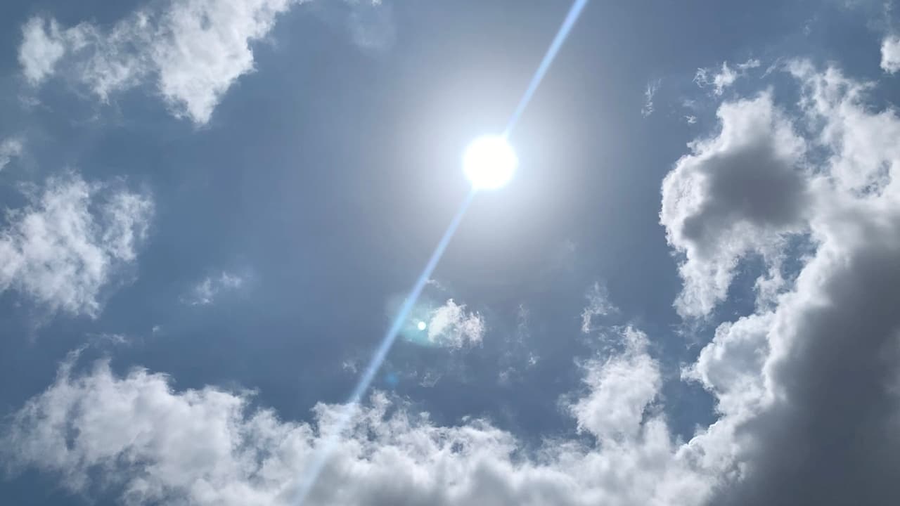 Entre 2018 y 2019 se registró un número récord de muertes por vehículos en el país, 53 niños murieron, según la página de internet NoHeatstroke.org.