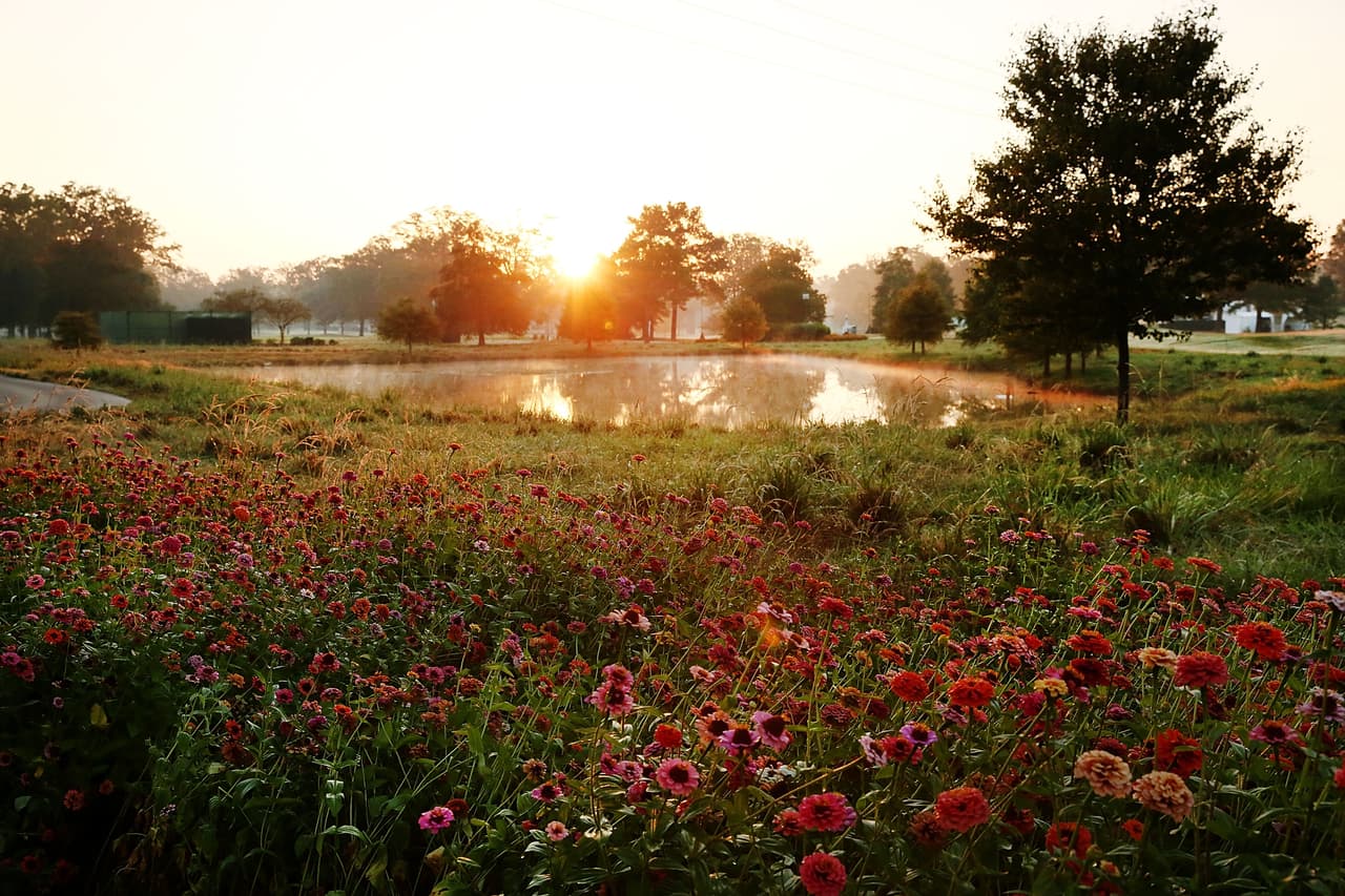 <b>Puesto 16: Jackson, Mississippi. 33.38 puntos.</b> Esta ciudad también se encuentra entre las que tienen menos puntaje en la categoría zonas verdes.