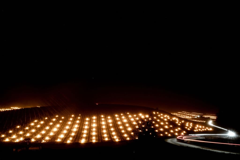 Laderas enteras 
<b>parecen estar en llamas</b>, creando un efecto visual sorprendente. Toda la semana los enólogos luchando esta semana cuando las temperaturas cayeron por debajo del punto de congelación, particularmente en el fértil valle del Ródano en el sureste de Francia.