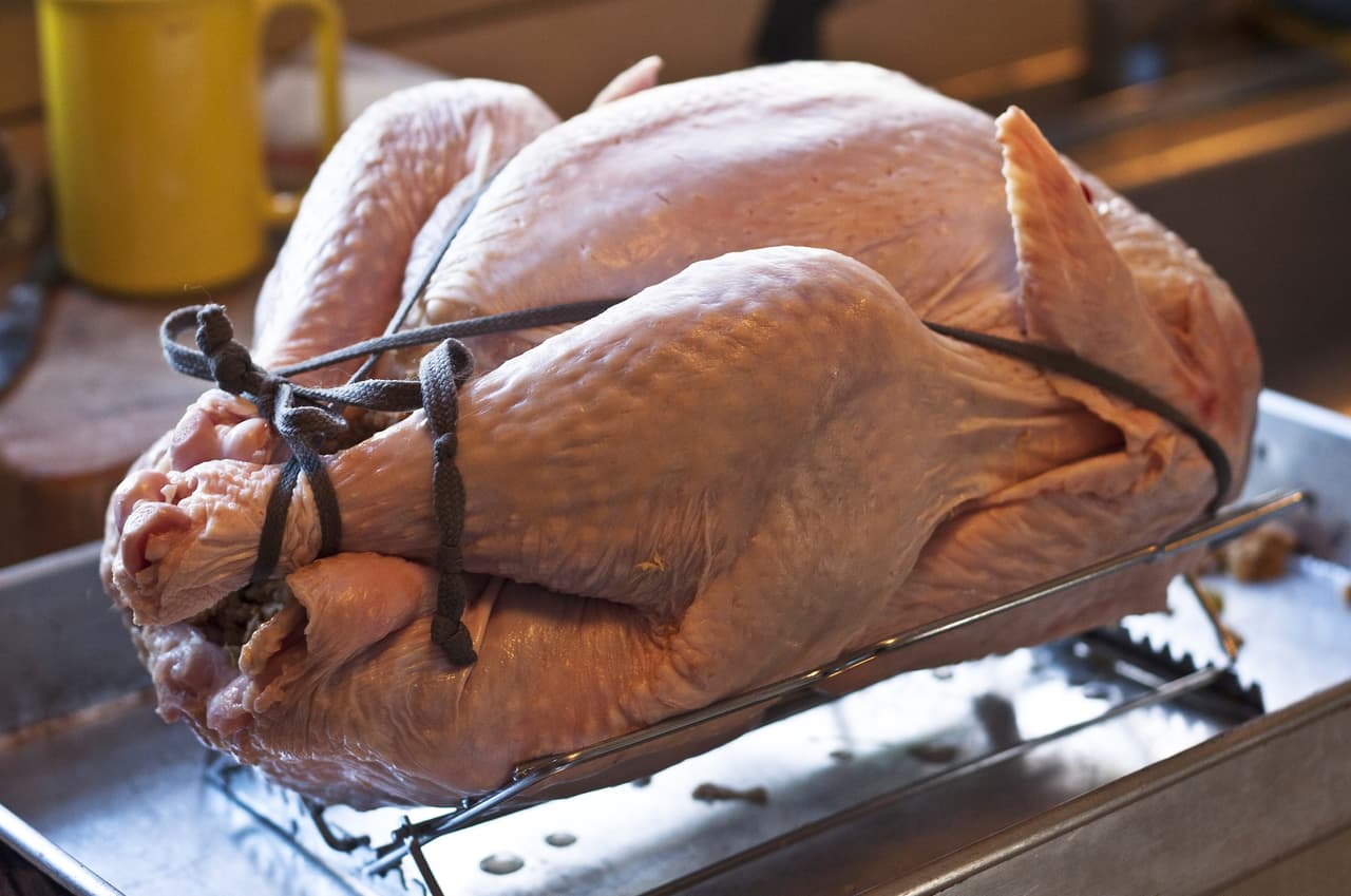 Si puedes distinguir entre un pavo hembra y macho, elige la primera, ya que su carne suele ser más tierna y se secara menos.