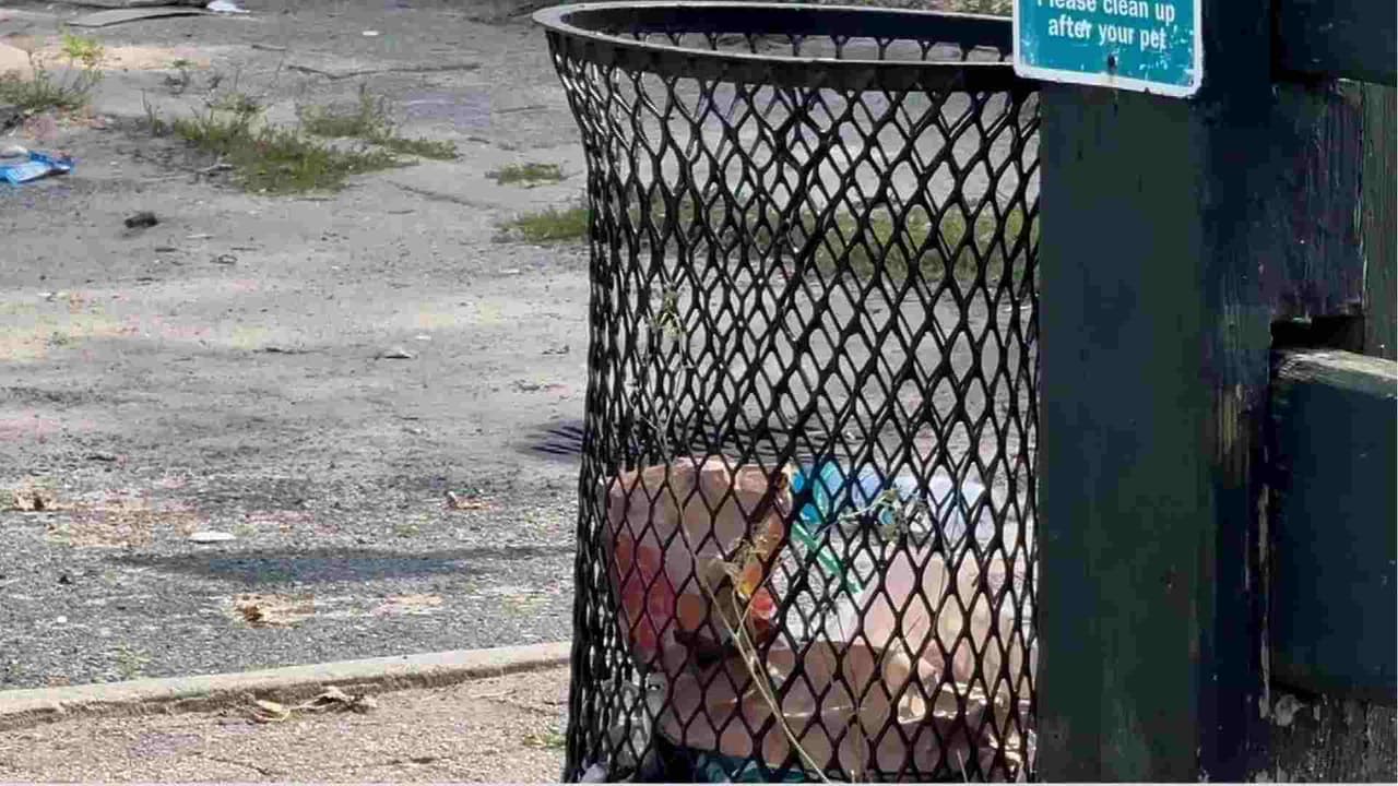 Hallan a una mujer muerta dentro de un bote de basura en el estacionamiento de una playa en Brooklyn