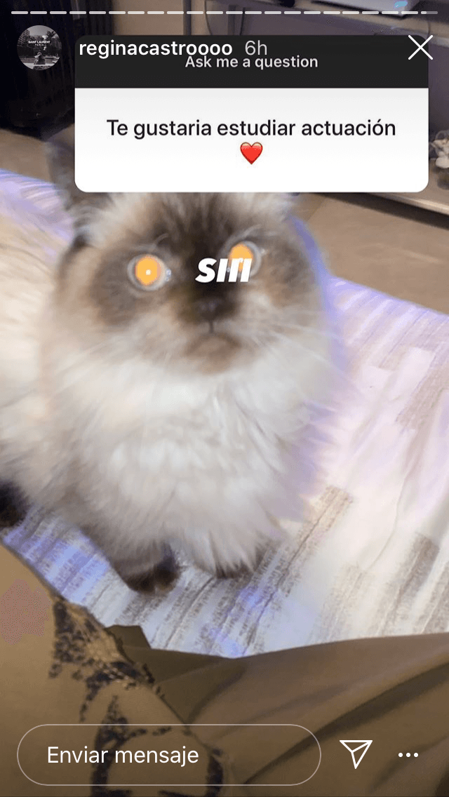 "Sí", dijo acerca de sus deseos de seguir con la dinastía actoral.
<br>