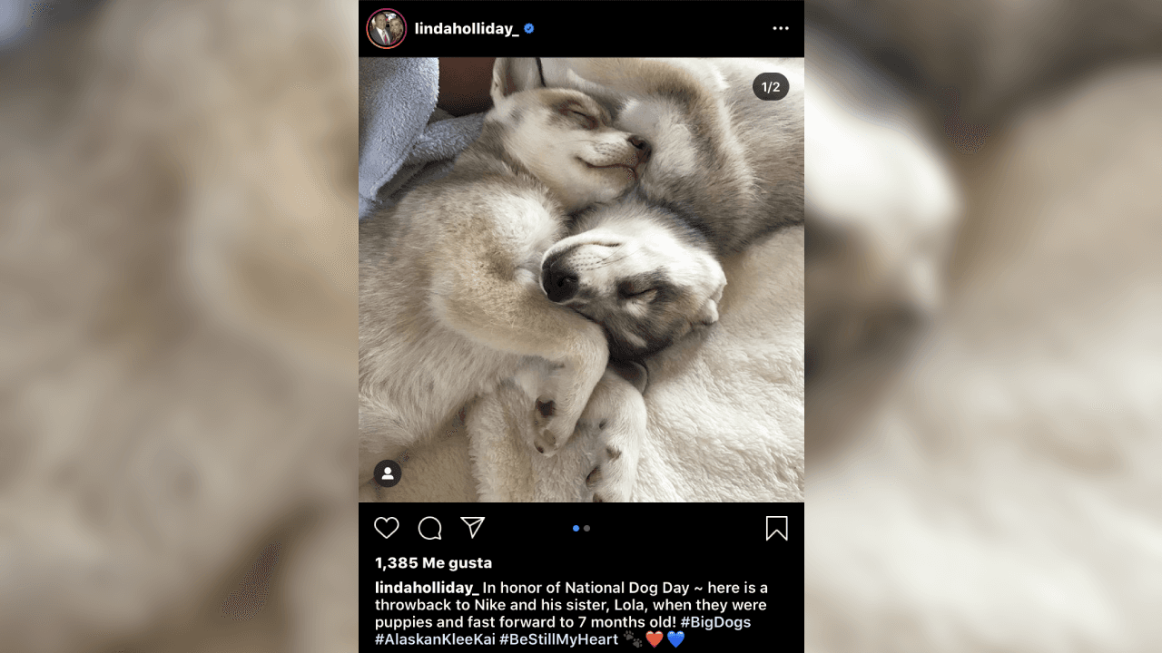 En la cuenta de la red social de Instagram Linda, ha subido fotografías de su amada mascota. ¡Él es Nike!