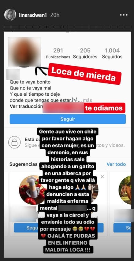 "Por favor gente que vive allá hagan algo, 
<b>denuncien a esta maldita enferma mental...</b> Que vaya a la cárcel y envíenle todo su odio por mensaje. 
<b>¡Ojalá te pudras en el infierno maldita loca!</b>".
