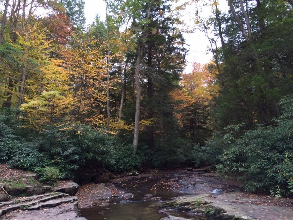 <b>Flat Rock Trail en Linn Run State Park:</b> El sendero Flat Rock Trail en el parque estatal Linn Run del suroeste de Pensilvania sigue a lo largo de Linn Run y ofrece impresionantes vistas del arroyo y el follaje otoñal que lo rodea. Al otro lado del arroyo hay varias cabañas de propiedad privada y antiguas ruinas de piedra que agregan un poco de encanto a la vista.