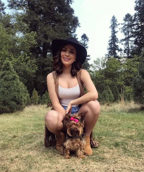 Carlos Rivera fue quien confirmó este romance en 2016: “Yo estoy muy feliz, a mí no me gusta hablar mucho de (temas sentimentales), me gusta que se queden conmigo, pero sí te puedo decir que estoy súper contento y que estoy con una mujer maravillosa que tiene todo lo que cualquier hombre quisiera tener”, dijo para el programa Hoy.
<br>