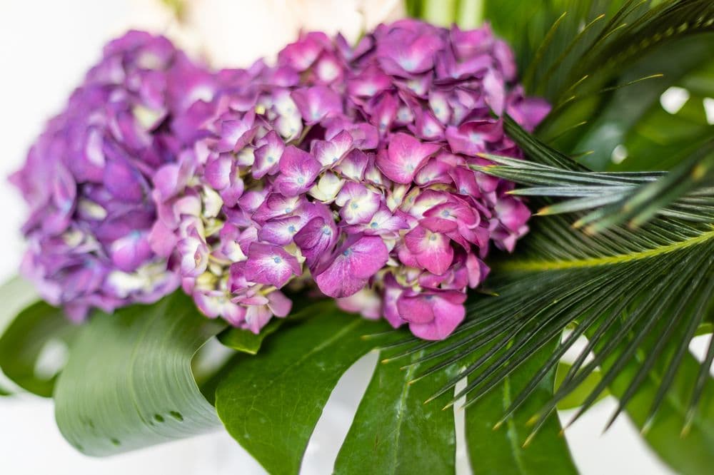 <b>Buckhead Florist</b>
<br>Dirección: 3333 Peachtree Rd NE Ste 100. Atlanta, GA. 30326
<br>Teléfono: (404) 266-7426
<br>Sitio web: 
<a href="http://buckheadflorist.com">http://buckheadflorist.com</a> 
<br>
<b><a href="https://www.yelp.com/map/buckhead-florist-atlanta">Cómo llegar</a></b>
<br>
<br>En Yelp aseguran que están “comprometidos a brindarles a nuestros clientes una experiencia de compra lujosa y productos de alta calidad, que incluyen flores, ramos personalizados, arreglos prefabricados e incluso artículos de regalo”.