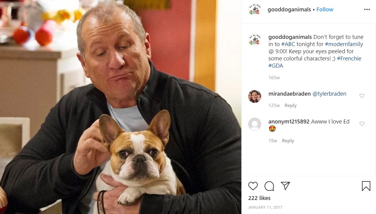 El nombre real de la mascota era 
<b>Beatrice</b> y se incorporó a la serie desde la cuarta temporada. Era la apreciada perrita del patriarca del clan, Jay Pritchett, interpretado por 
<b><a href="https://www.univision.com/entretenimiento/la-familia-favorita-de-eu-esta-de-regreso" target="_blank">Ed O'Neill</a></b> (con ella en la foto). 
<br>