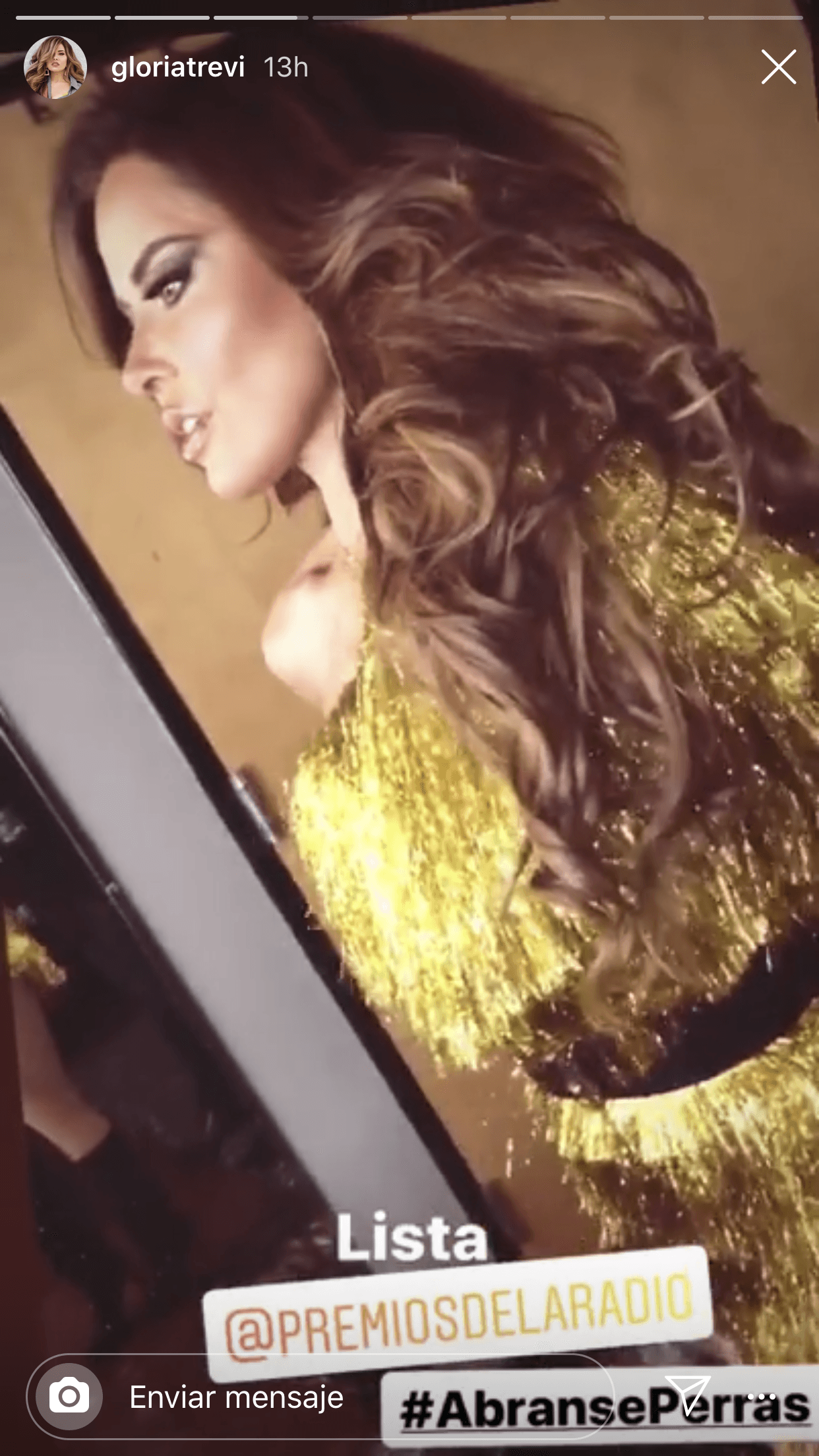 La apertura de la gala estuvo a cargo de Gloria Trevi. La regiomontana ofreció una versión en cumbia de su éxito
<b> <a href="https://www.youtube.com/watch?v=ymHzadz1rew">'Ábranse Perras'.</a></b>