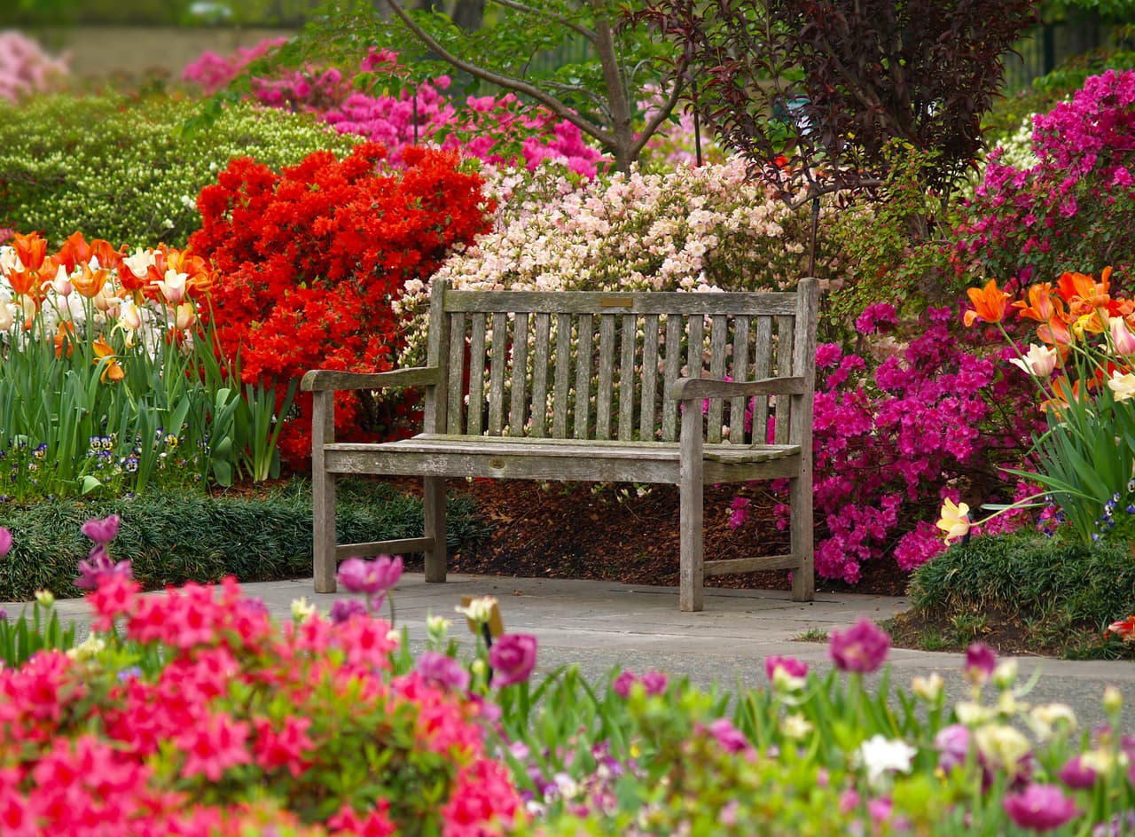 Con el tema de
<b>Birds in Paradise</b>, el jardín también busca ofrecer caminatas con expertos que hablen sobre las aves que frecuentan el parque. Para más información de las demostraciones y eventos específicos da
<a href="https://www.dallasarboretum.org/visitor-information/gardens-and-pavilions/a-tasteful-place/ " target="_blank">clic aquí</a>.