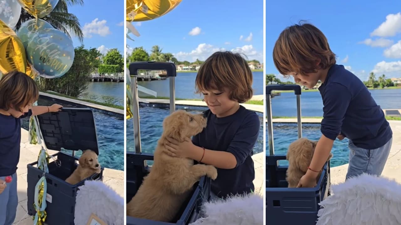 André, hijo de Sherlyn, conoció así a Joy.