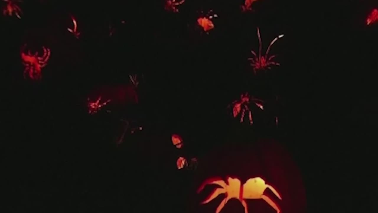 Atracciones embrujadas en Carolina del Norte