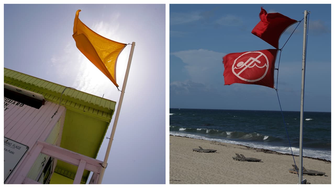 ¿Qué significado tienen los colores de las banderas de alerta en las playas del sur de Florida?