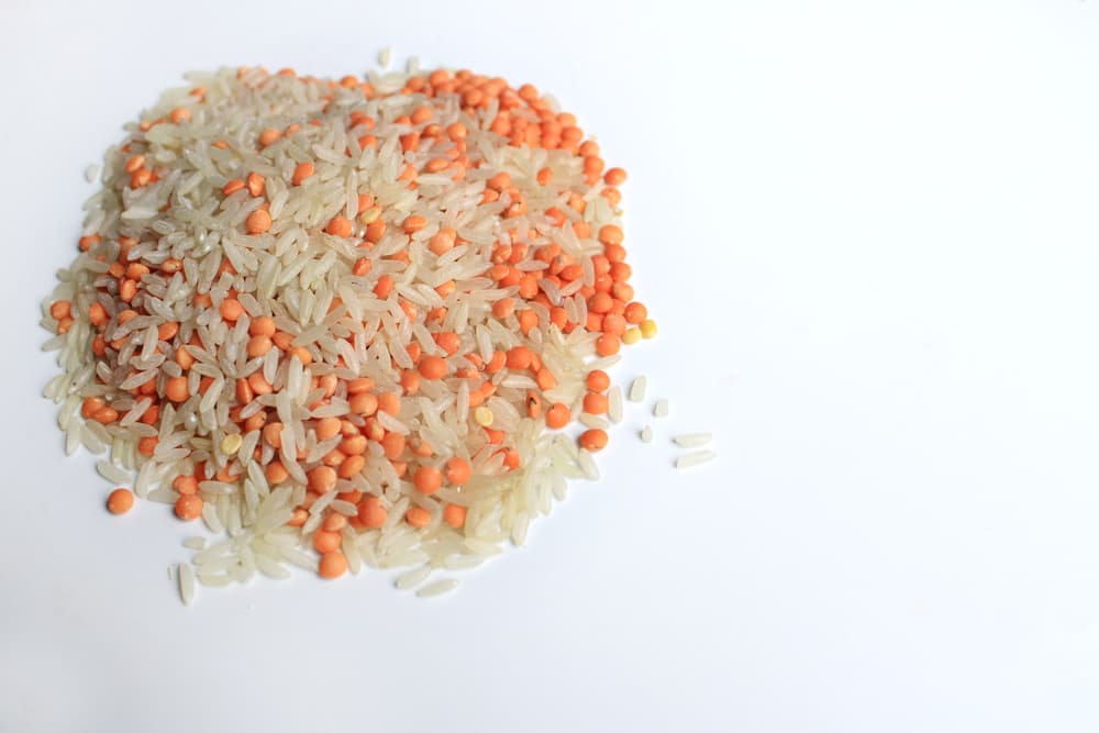 Un recipiente con 1.1 libras (medio kilo) de arroz o lentejas
<br>