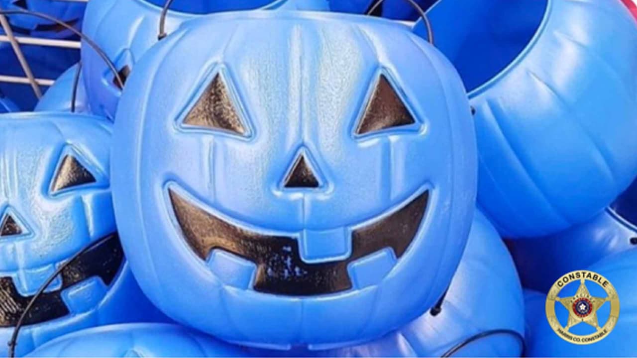 “Es un mensaje para la conciencia y aceptación del autismo este Halloween”: madre que apoya y promueve la calabaza azul