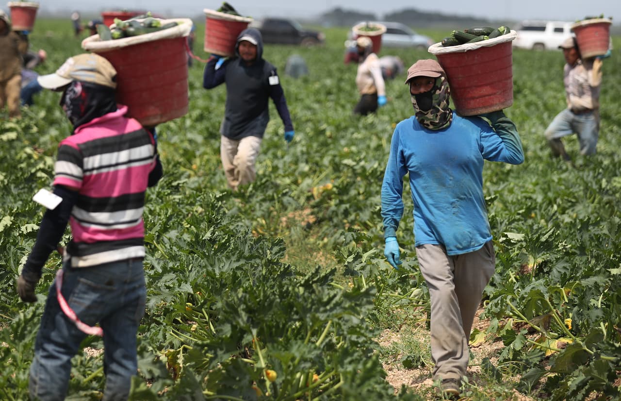 “Lo que ustedes están viendo es un incremento de casos en comunidades agrícolas, en el centro de la Florida y Palm Beach, porque allí hay muchos empleados trabajando juntos, sin distancia social”, dijo el gobernador Ron DeSantis el viernes. 
<br>
