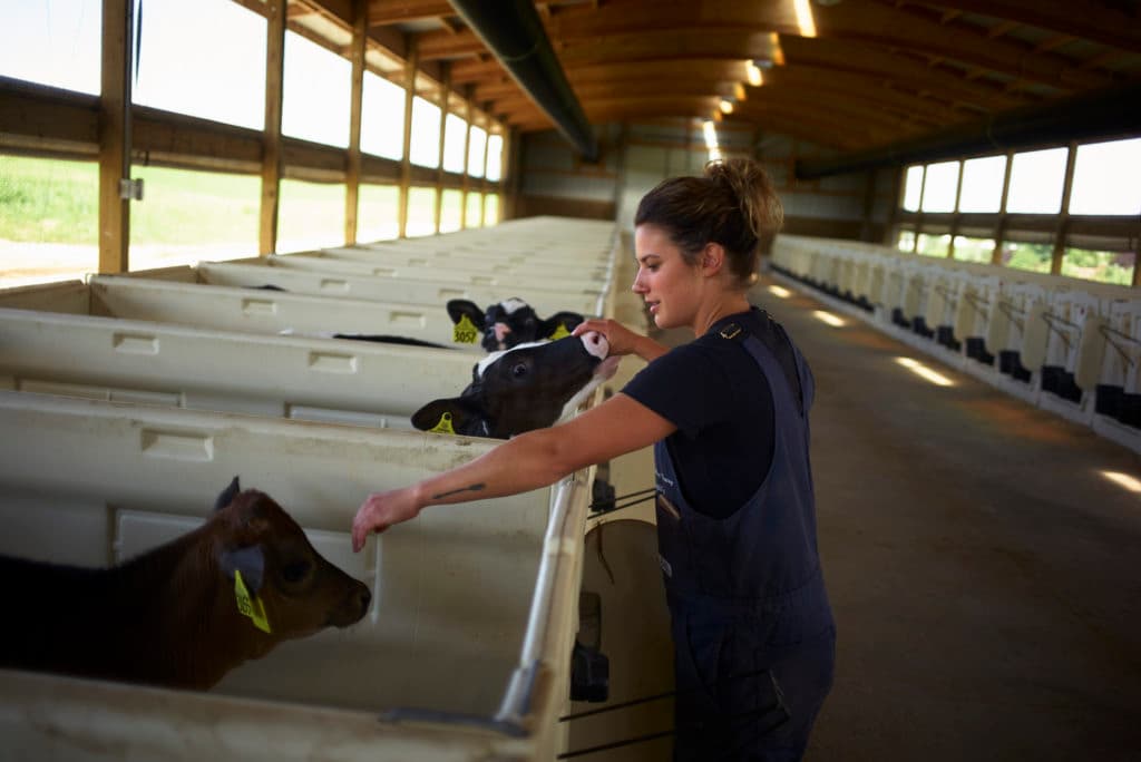 Abby Driscoll tends to her daily chores on her family owned farm Tuesday July, 25, 2017 Newton, Wi. The Driscolls like many dairy farms are dependent on migrant workers to help with the many aspects of running a farm. They along with many other farms are now running into issues getting help due to the current administrations stance on immigration making many workers return to home countries in fear of being arrested in the United States while looking for work. CREDIT: Darren Hauck for Center for Investigative Reporting
