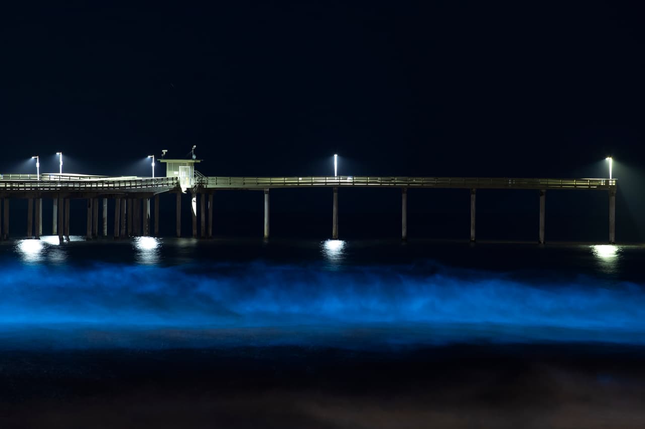 La bioluminiscencia es un fenómeno causado por ciertos tipos de fitoplancton asociado con la marea roja que por la noche generan un pulso de luz azul cuando las olas chocan. "Los fitoplancton son plantas (o algas) microscópicas y unicelulares que crecen naturalmente en nuestras aguas costeras", según
<a href="https://caseagrant.ucsd.edu/our-work/recursos/mareas-rojas-en-california" target="_blank">Sea Grant de la Universidad de California San Diego (UCSD)</a>.