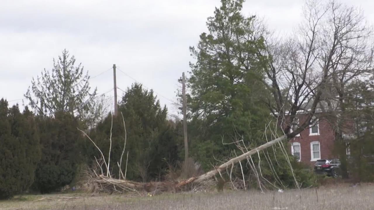 <b>Relacionado:</b> Te compartimos recomendaciones de seguridad ante los fuertes vientos.