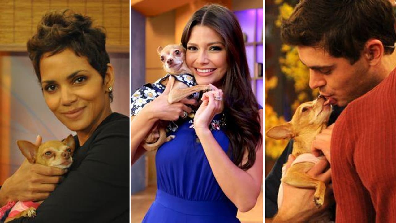 Honey Berry, la perrita que se hizo tan famosa como su dueña Ana Patricia