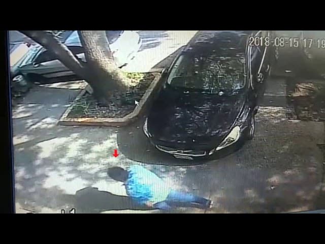 Las autoridades ministeriales y periciales de la Procuraduría General de Justicia capitalina, 
<b>analizaron las imágenes de las cámaras de video vigilancia de toda la zona</b>, para obtener los rasgos del asesino.