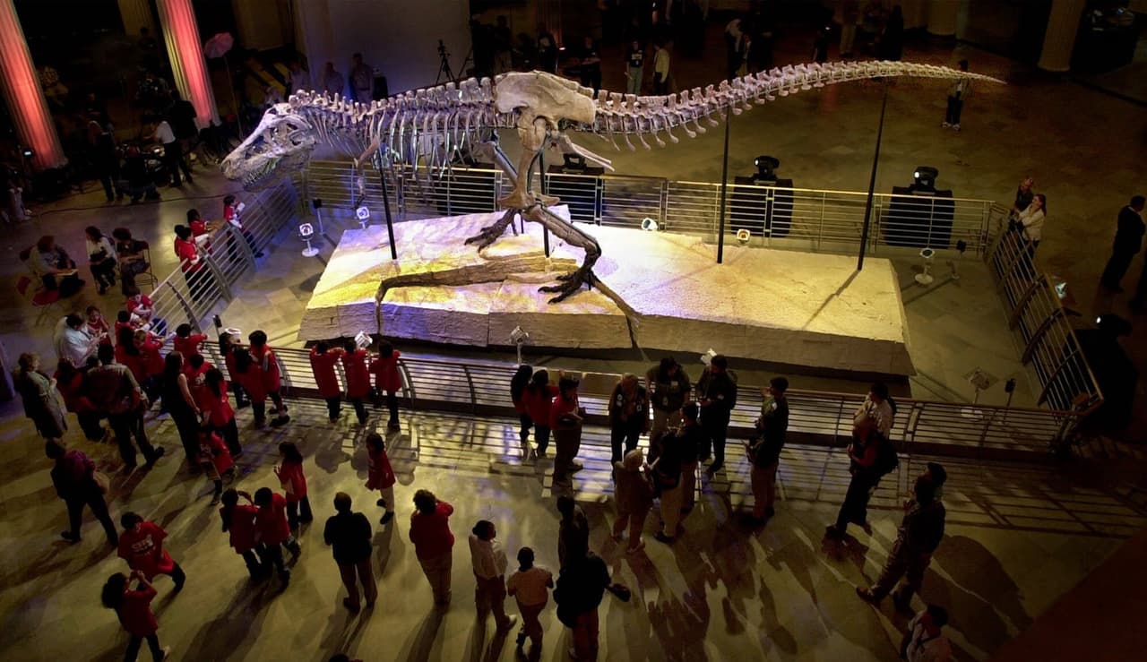 <b><a href="https://www.fieldmuseum.org/" target="_blank">The Field Museum</a></b>: El museo es gratis para los residentes de Illinois todos los martes de 12:30 a 9:00 PM y en los días conmemorativos: 21 de enero, Día de los Presidentes, 18 de febrero, 4 de marzo y 4 de julio. El Field Museum museo tiene mucho que ofrecer para todas las edades. También hay entrada gratis el miércoles 26, jueves 27 y viernes 28 de junio. 
<a href="https://www.fieldmuseum.org/our-events/free-admission-days" target="_blank">Aquí puedes estar al tanto de 'free days</a>' cuales días son gratuitos. 
<br>
<br>400 S Lake Shore Dr, Chicago, IL 60605