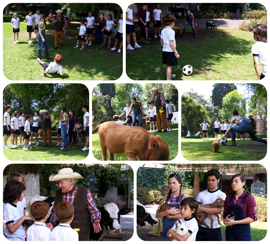 Usted es un abuelo de diez con Porfirio, le encanta convivir con sus nietos y con sus amigos.