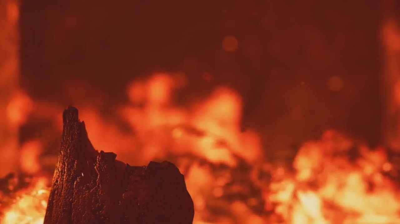 Reporte destaca más incendios en Carolina del Norte por baja humedad y vegetación seca