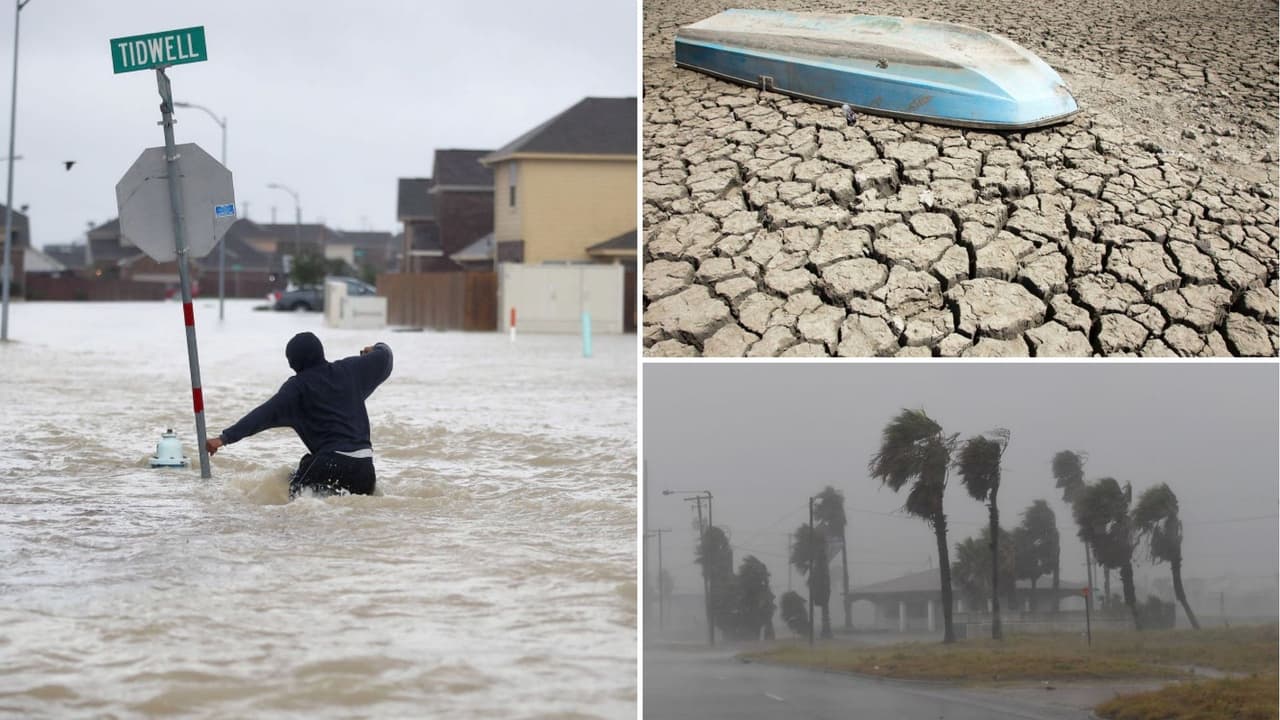 Cambio climático: ¿qué son los gases de efecto invernadero y cómo afectan a nuestro planeta?