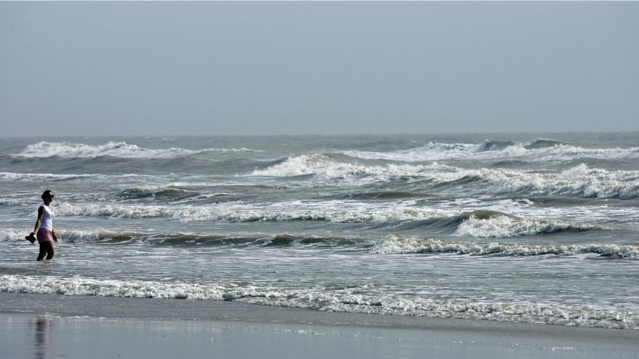 Isla South Padre vuelve a actividades tras parar por el coronavirus