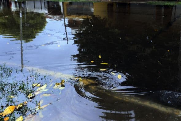 "Fue un diluvio sin precedentes en la historia, por eso a la gente le ha sorprendido de la peor manera y algunos no han tenido tiempo a poder escapar de esta trampa fatal", dijo..