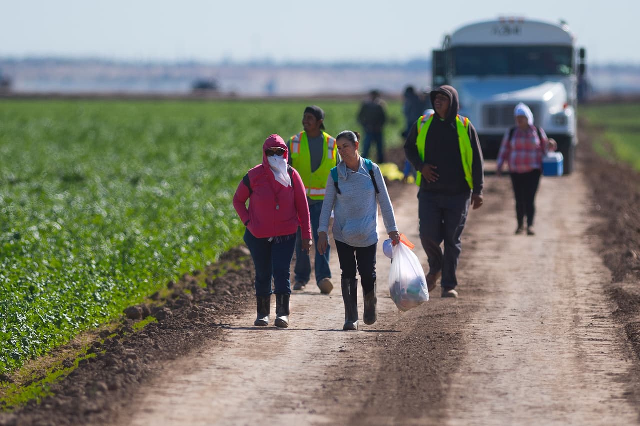 Te decimos por qué han declarado a Phoenix la quinta mejor ciudad de Estados Unidos para trabajar