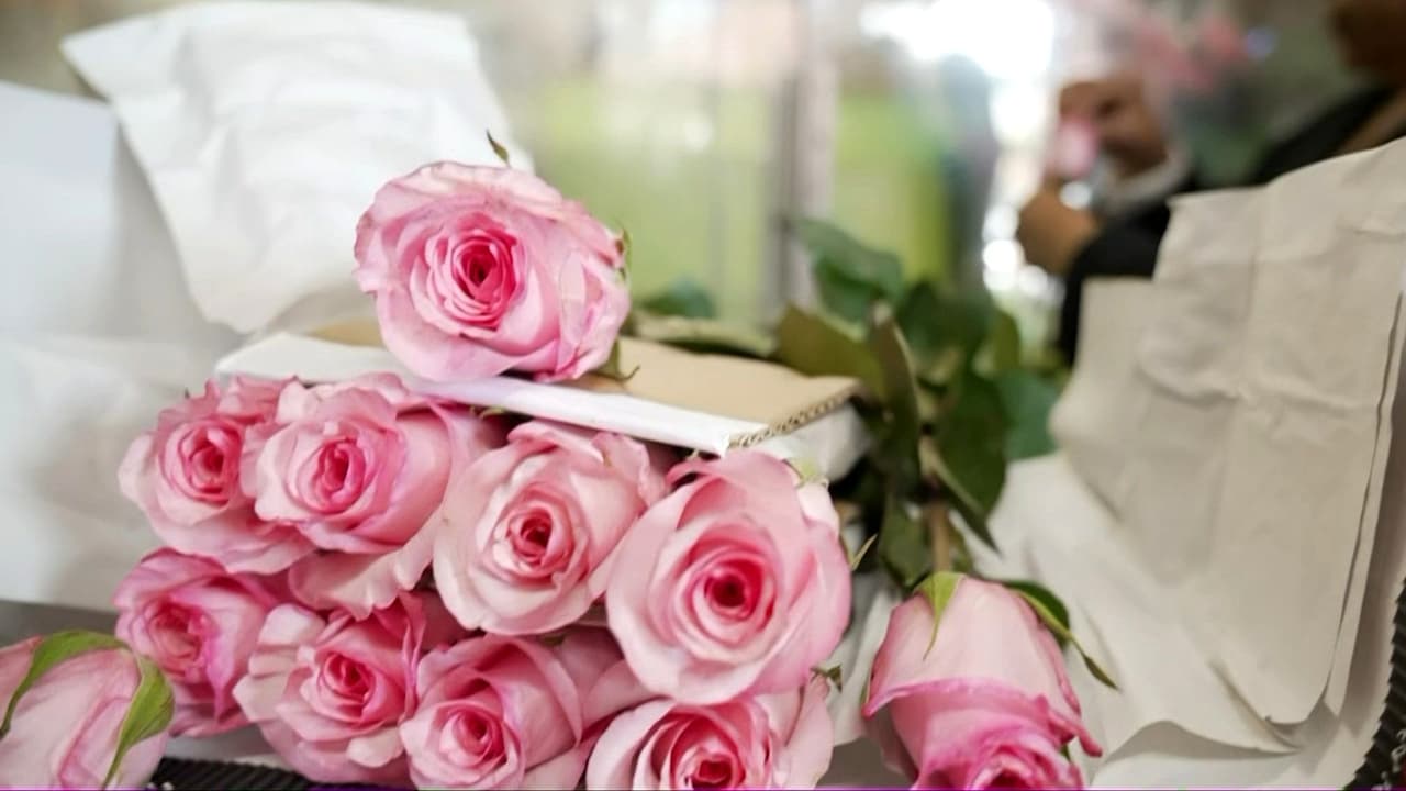 Floristerías en Los Ángeles sortean precio de la gasolina y aranceles para tener ganancias por Día de las Madres