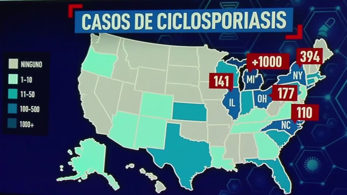 Casos de ciclosporiasis en EEUU continúan en aumento: ¿En qué estados se concentra la mayoría de los contagios?
