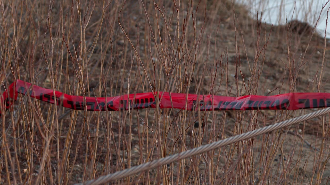 Otro vecino
<b>, David Fisk</b>, también lamentó lo ocurrido y expresó su solidaridad con la familia de la víctima.
<br>
<br>“No puedo imaginar lo que esto significa para su familia. Es muy doloroso para todos”, señaló.